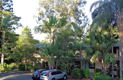 Indooroopilly Hotel | Forest Lodge Apartments