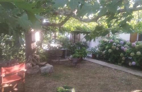 Paleopoli House | Harmonia