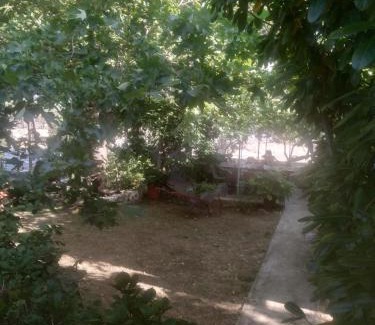 Paleopoli House | Harmonia