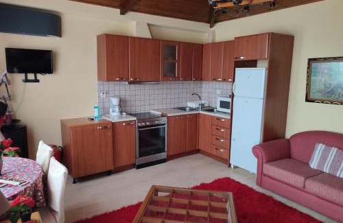 Arachova Apartment | Holiday Apartments in Arachova