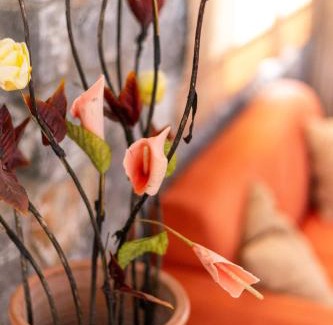 Lefktron Apartment | Hotel Aphrodite