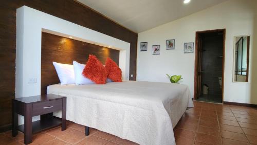 Monteverde Bed & Breakfast | La Guayaba Monteverde