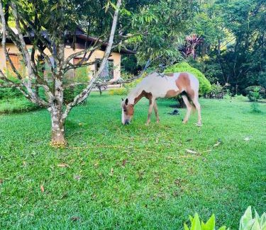 Quebrada La Gamba Hotel | La Purruja Lodge