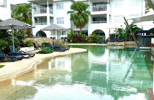 Port Douglas Apartment | Lady Palm Leaf