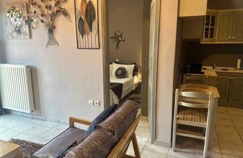 Arachova Apartment | Pandoras House Arachova