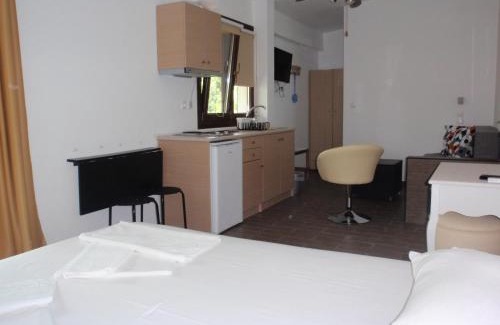 Ano Kariotes Apartment | Petrouda's Apartments