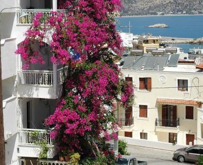 Karpathos Apartment | Roses Studios
