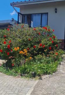 Port Alfred Apartment | Tumble Inn