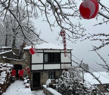 Krikellon House | ΤΟ ΑΡΧΟΝΤΙΚΟ