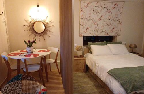 Karpenisi Apartment | Το Σπίτι Της Ευτυχίας στούντιο