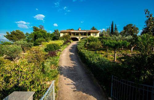 Galaxidi Apartment | 100 m² Apartment ∙ 3 bedrooms ∙ 8 guests