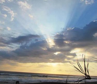 Playa Hermosa Apartment | #17A Hermosa Beach Bungalow 1st floor 1 bedroom Apt