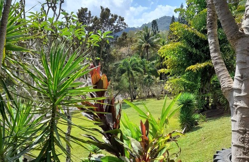 Redlynch Apartment | 2 B'rm Cool Retreat 90m above Sea Level, & views, in Quiet Area close to Cairns
