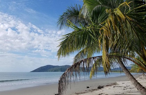 Cape Tribulation Resort | 27 m² Resort ∙ 127 guests