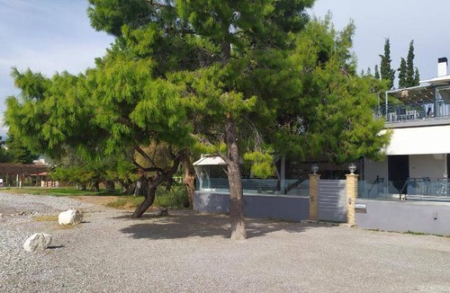 Itea Apartment | 30 m² Apartment ∙ 4 guests
