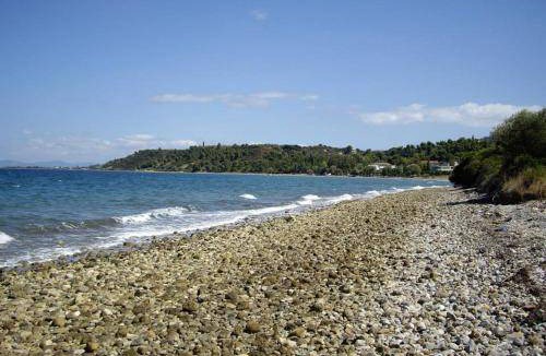 Xirolivado Apartment | 30 m² Serviced apartment ∙ 2 guests