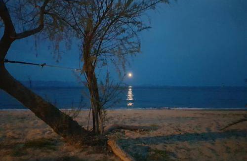 Nea Makri Apartment | 32 m² Apartment ∙ 1 bedroom ∙ 2 guests