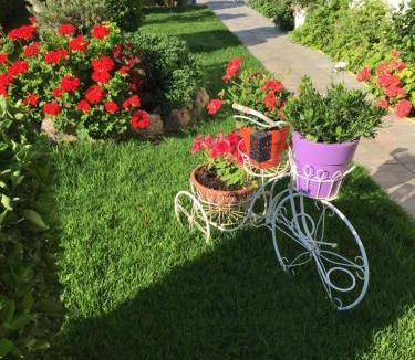 Lefkandi Apartment | 32 m² Serviced apartment ∙ 7 guests