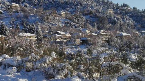 Agrinio Bed & Breakfast | 35 m² Bed and breakfast ∙ 4 guests