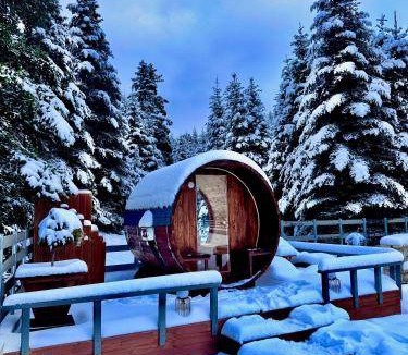 Kefalochori Ski Chalet | 35 m² Chalet ∙ 3 guests
