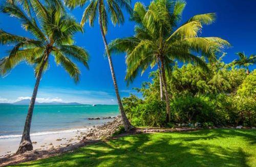 Port Douglas Apartment | 38 m² Apartment ∙ 4 guests