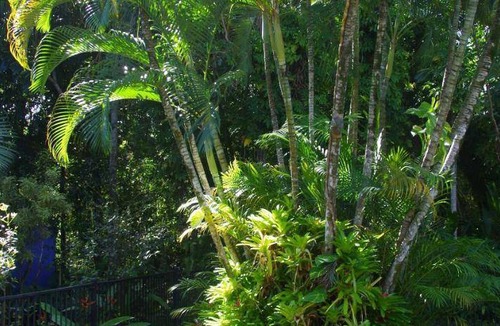 Port Douglas Resort | 42 m² Resort ∙ 5 guests