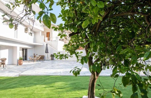 Amarinthos Apartment | 55 m² Apartment ∙ 1 bedroom ∙ 4 guests
