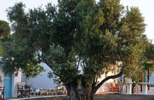 Mandraki House | 60 m² House ∙ 1 bedroom ∙ 3 guests