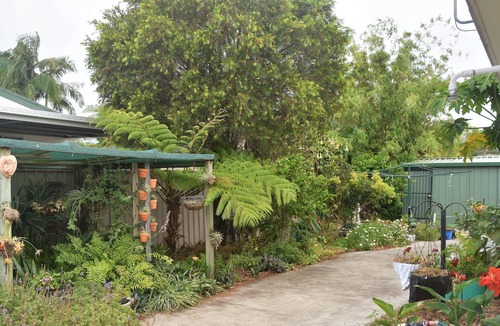 Bellara House | A peaceful Hacienda with lush gardens situated in a quiet steet - Pet Friendly