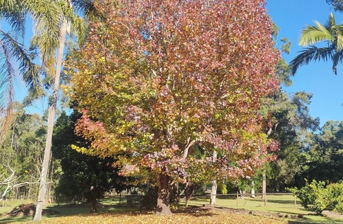 Greenbank House | Acreage Guest House set on 1 1/2 Acres
