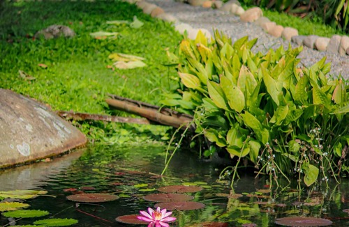 Rivas Apartment | Alojamiento Relajante San Gerardo de Rivas, Cerca del Parque Nacional Chirripó C