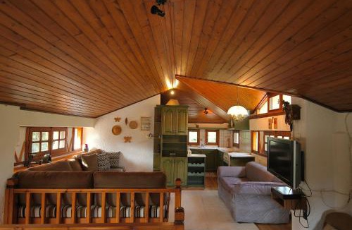 Arachova Apartment | Arctic Loft by Ski Alure
