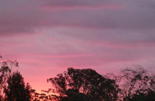 Cawdor Bed & Breakfast | Bed and breakfast ∙ 5 guests