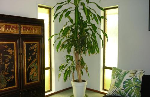 Coffs Harbour Apartment | BILL'S