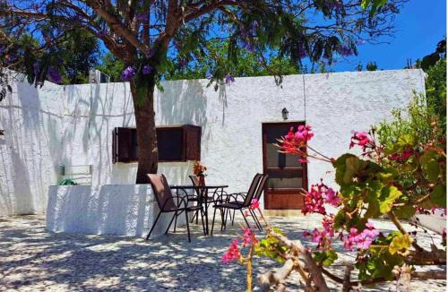 Alinda House | Blue Acacia in Alinda Leros