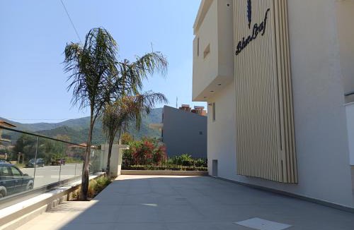Volvi Hotel | Blueleaf