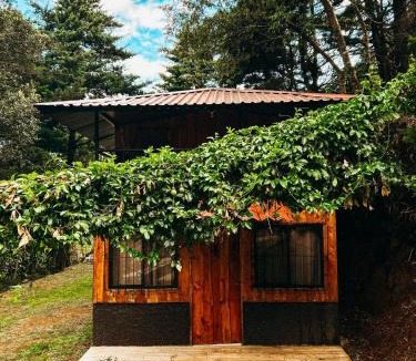 Poas Volcano National Park Ski Chalet | Cabaña Piqueza!