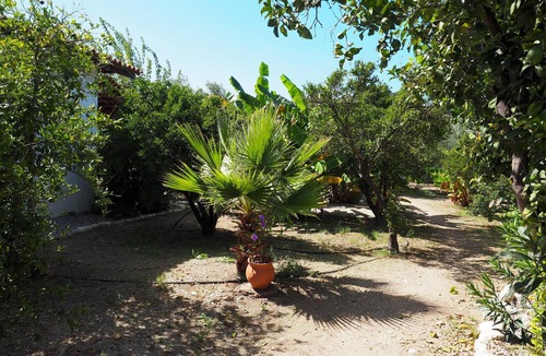 Kakovatos House | Calm located, amid an olive grove, close to the beach, wifi | holiday house Ilia