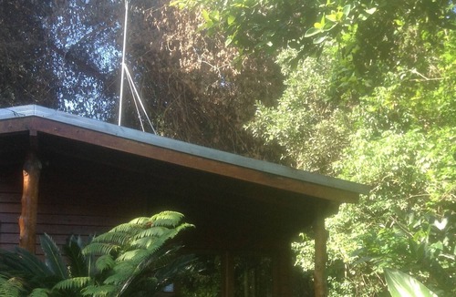 Kuranda Apartment | Casa Kuranda in the rainforest