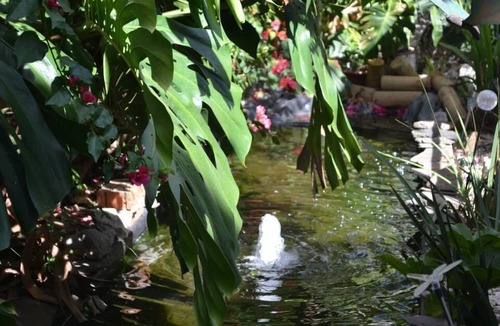 Cacique Apartment | COMPLETELY FURNISHED. PEACEFUL AND BEAUTIFUL IN THE BEST CLIMATE IN COSTA RICA.