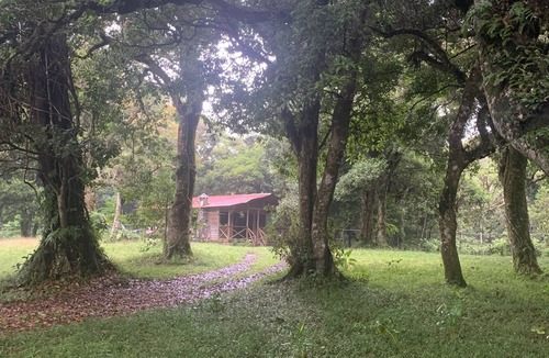 Roble Cabin | Cozy Cabin, 10 minutes from Heredia, forest around