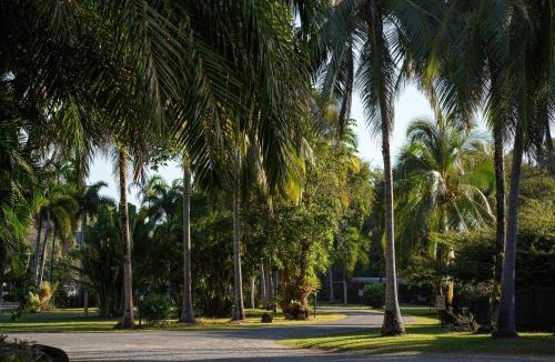 Wonga Beach Other | Daintree Beach Resort