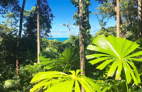 Cow Bay House | Daintree Magic Vacation Home