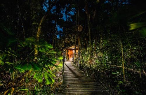 Diwan Resort | Daintree Wilderness Lodge