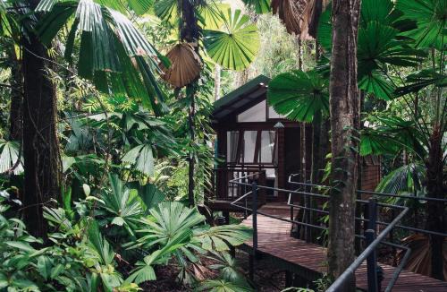 Diwan Resort | Daintree Wilderness Lodge