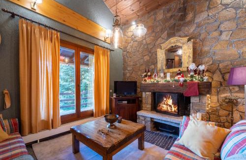 Eptalofos Ski Chalet | Dandy Villas Elatodasos - Chalet Artemis - Fir Forest - Jeep & Nature Lovers