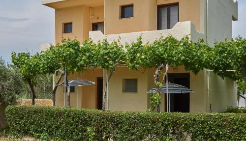 Sitia Apartment | Dimitra Apartments