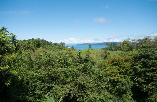 Drake Bay Hotel | Drake Bay Greenleaf