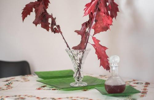 Spata-Artemida Apartment | Elena's Home Apt 2