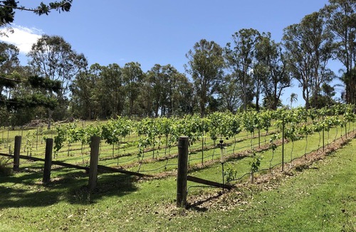 Kandanga House | Farm and Vineyard with private resort style pool